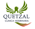 Clinica Veterinaria Quetzal