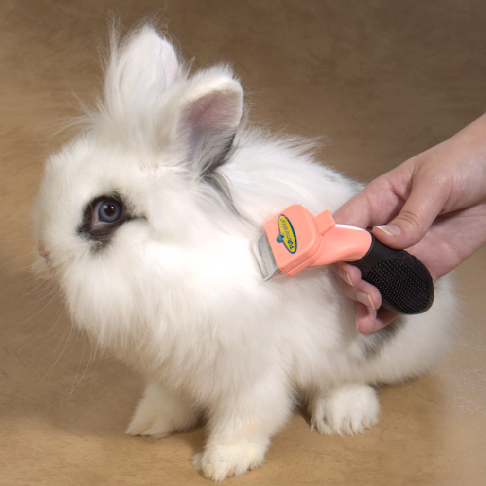 Как подстричь колтуны декоративного кролика